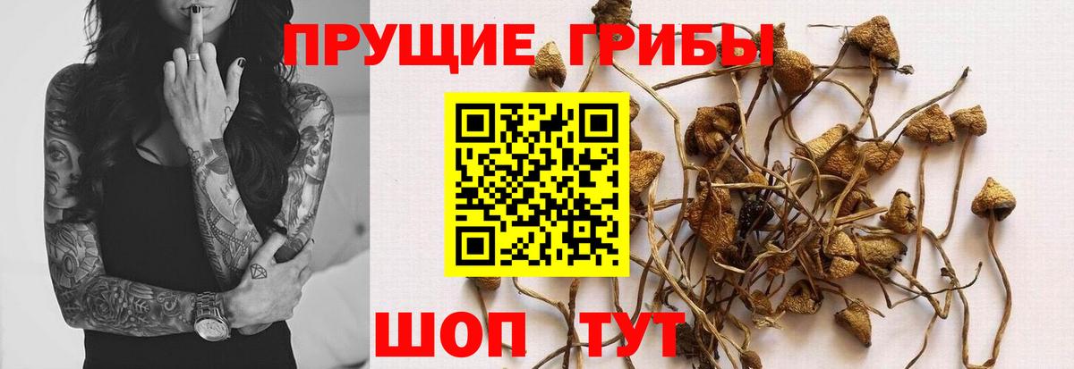 Псилоцибиновые грибы Magic Shrooms Всеволожск